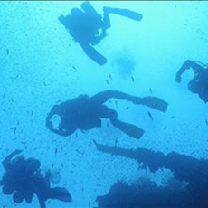 Aquamarine Dive Center Aquamarine Dive Center
