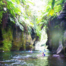 Millenium Cave Millenium Cave